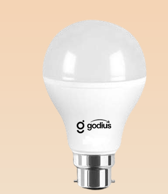 20 Watt Bulb ( PRODUCT CODE-GDS-05 )