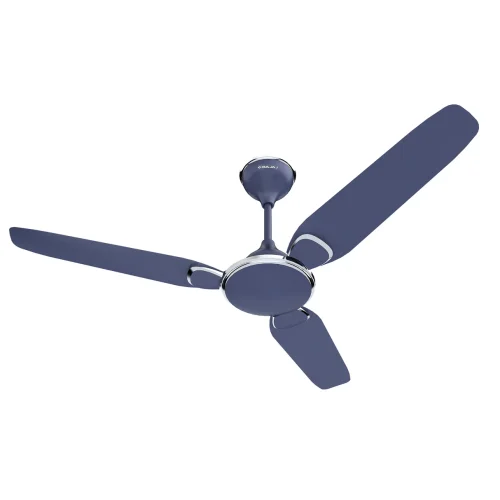 fans